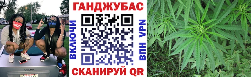 Конопля гибрид  Купить закладки  Трубчевск 